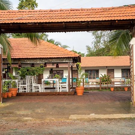 Dhanrains Moonlight Retreat Cottages Palolem Eksteriør billede